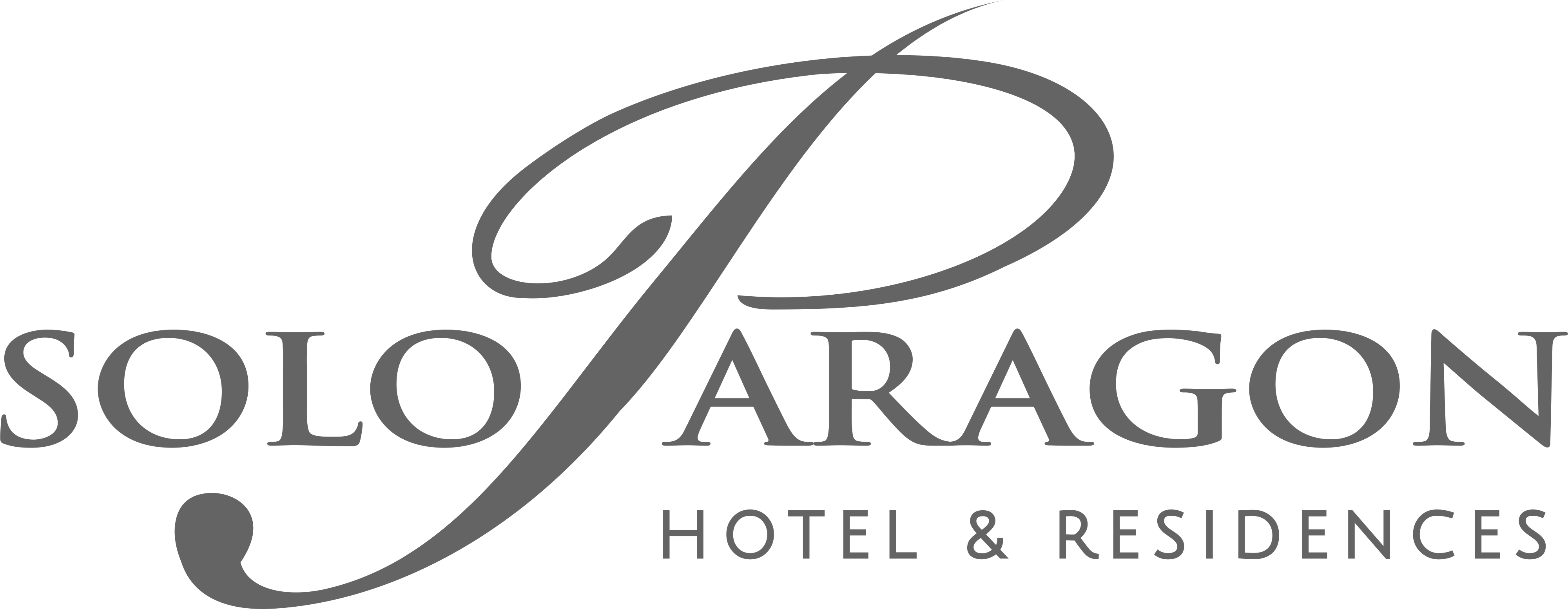 Solo Paragon Logo