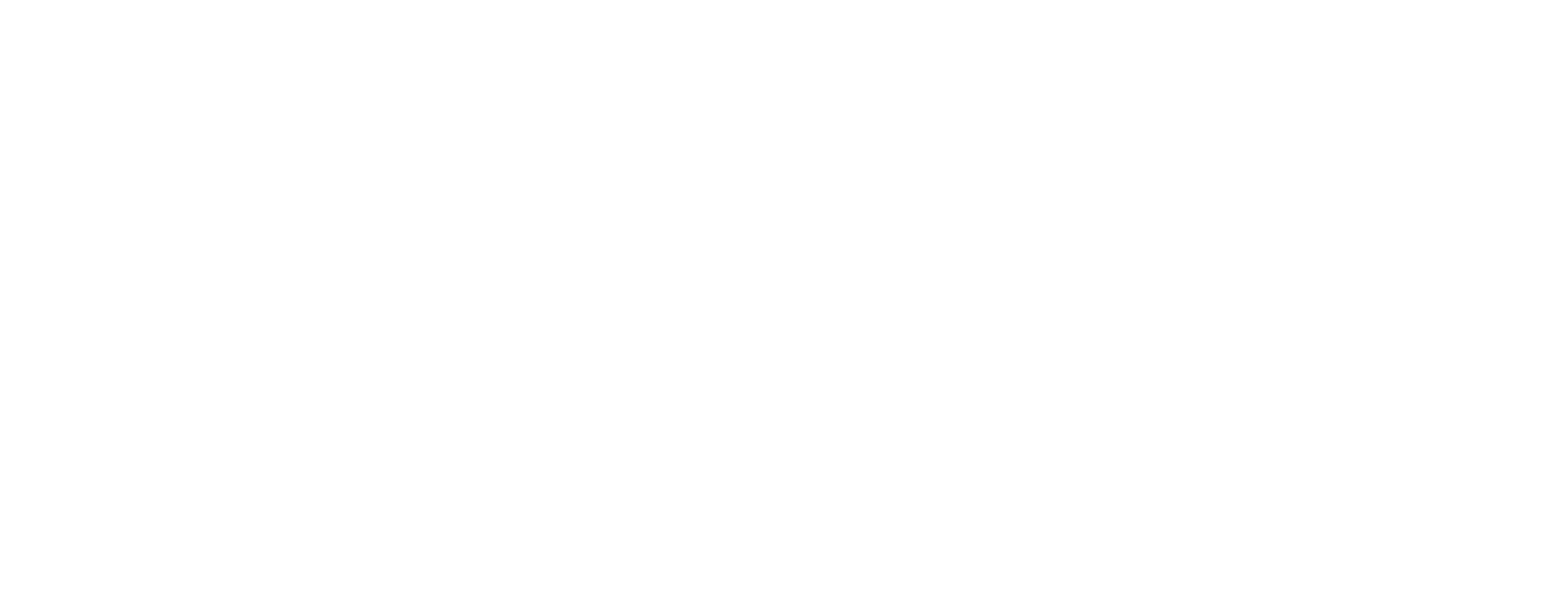 Solo Paragon Logo